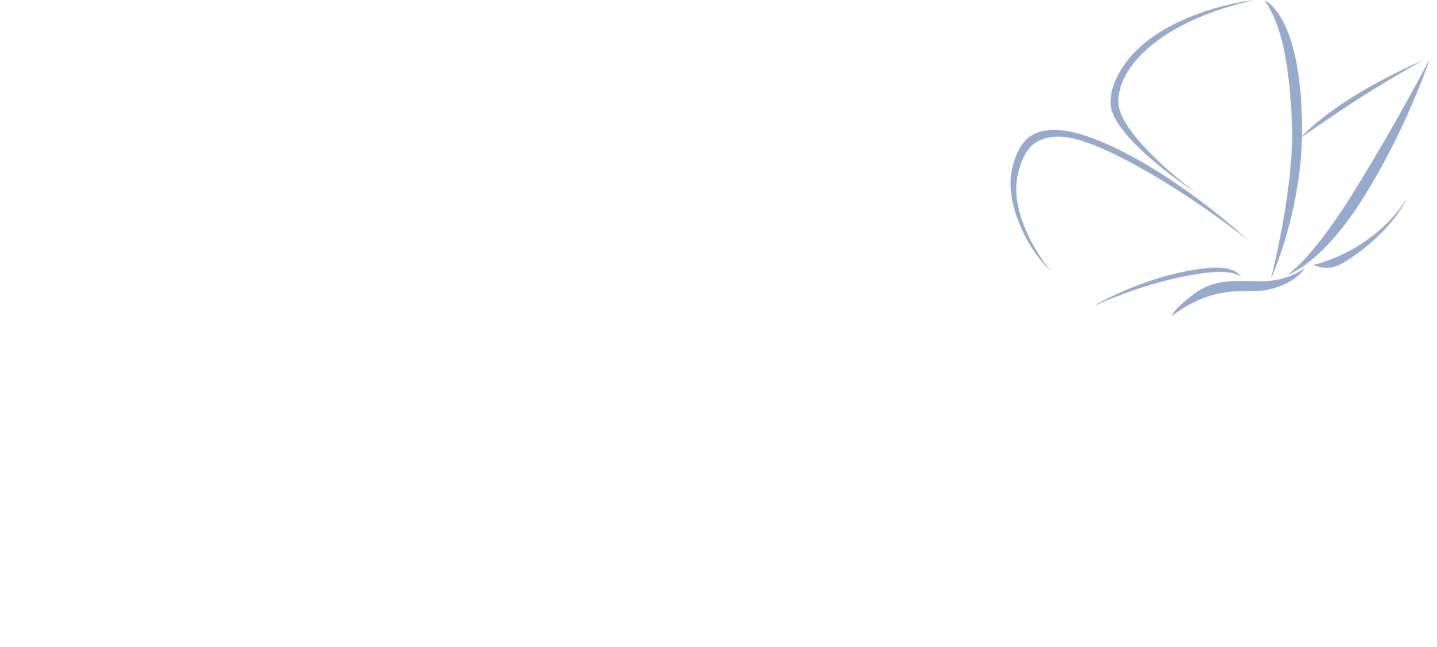 Skinfluence NYC